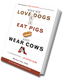 Why we love dogs, eat pigs, 2014-6-1