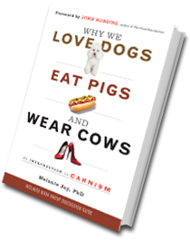 Why we love dogs, eat pigs, 2014-6-1